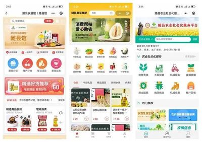 &ldquo;五個以&rdquo;實踐體系的隨縣答卷 | 強&ldquo;鏈條&rdquo;通&ldquo;經絡&rdquo;--奮力打造城鄉供應鏈一體化平臺的&ldquo;隨縣實踐&rdquo;